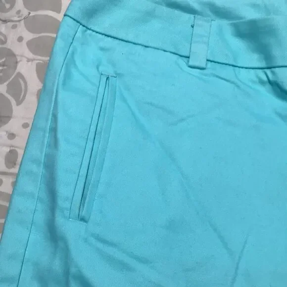 Stylus Aqua Dressy Shorts 8 - Picture 2 of 6